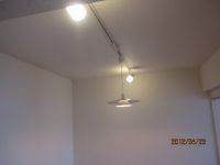 IMG_8993.jpg