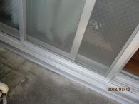 IMG_9775.jpg