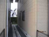 IMG_9232.jpg