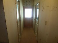 IMG_4439.jpg