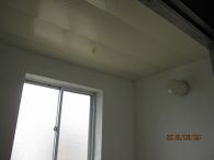 IMG_9340.jpg