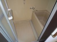 IMG_5221.jpg