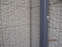 IMG_9235.jpg