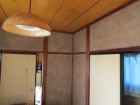 IMG_0528.jpg