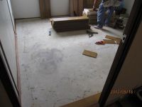 IMG_0290.jpg