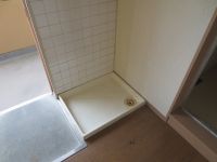 IMG_1793.jpg